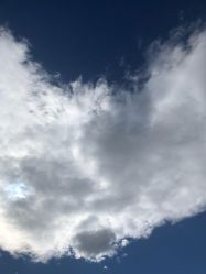 -圣露庄园·草坪婚礼·宴会厅·会议