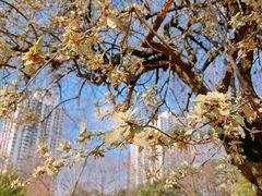 -苏州河梦清园环保主题公园