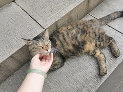 -西园戒幢律寺