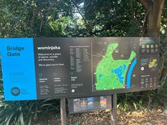 -墨尔本皇家植物园