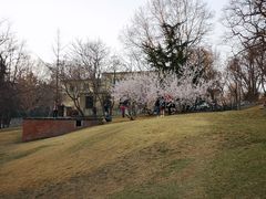 -大连理工大学(凌水校区)