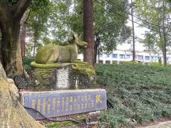 -房湖公园
