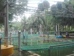 -广东茂名森林公园