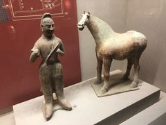 -宁夏博物馆