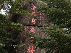 -汤旺河林海奇石景区