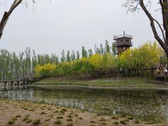 -东郊湿地公园