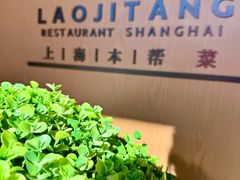-老吉堂上海本帮菜(望京万象汇店)