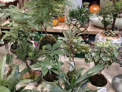 -AEON永旺(东方宝泰店)