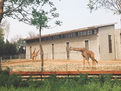 -石家庄市动物园