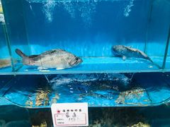 -牟传仁饭庄(星海店)