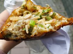 -半月镰胡姐脆皮萝卜饺子