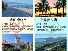 -亚龙湾热带天堂森林公园