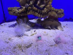 -青岛海底世界-水族馆