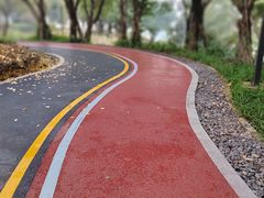 -大渡口区义渡公园