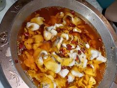 -雲蜀龙阁·金牌水煮鱼(方庄店)