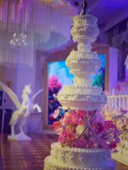 点击看大图 -谛融婚礼酒店·宴会厅(花园店)