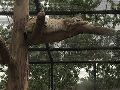 -石家庄市动物园