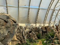 -香港海洋公园