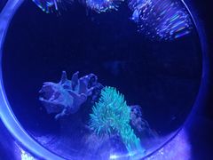 -太平洋海底世界