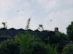 -重庆平顶山公园