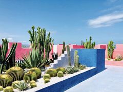 -漳州滨海火山岛自然生态风景区