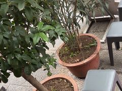 -杏花村水席楼·洛阳水席(老城十字街店)