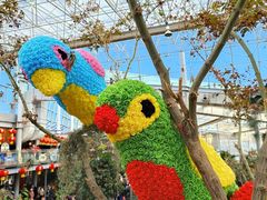 -沈阳植物园