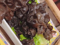 鲜木耳-芦月轩羊蝎子(北蜂窝店)