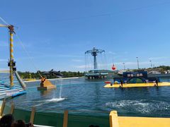 -秦皇岛乐岛海洋王国