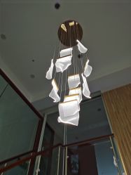 -舒欣头疗·俏丝谧语 白发脱发专业护理 
