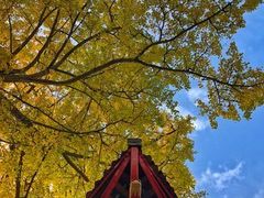 -金堂县云顶石城风景区