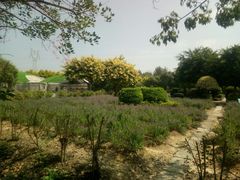 -广东花都香草世界旅游度假区