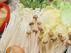 -禄婶鸡煲·打边炉