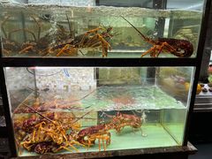 -甄御•海鲜新青岛菜(麦岛店)