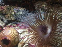 iphone_upload_pic-北戴河圣蓝海洋公园