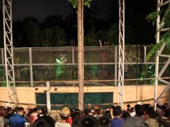 -清迈夜间动物园
