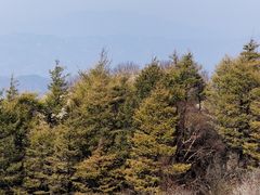 -白草畔自然风景区