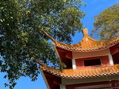 -深圳仙湖植物园