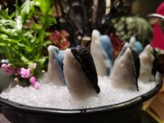 qq企鹅丸-湊湊火锅·茶憩(新中关购物中心店)