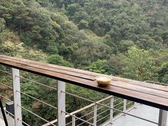 -南海湾森林生态园