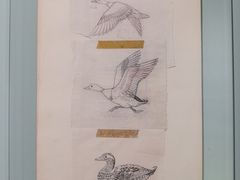 -杭州工艺美术博物馆