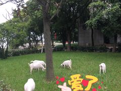 -东山风景区(洞庭东山)