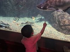 -太平洋海底世界