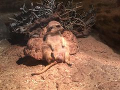 -正佳雨林生态植物园
