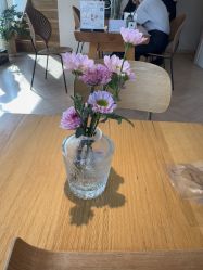 -玛莲朵·海菲秀冰珀科