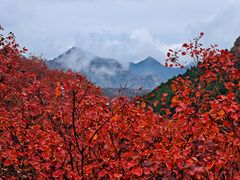 -狼牙山风景区