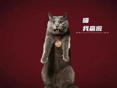-中粮·祥云小镇