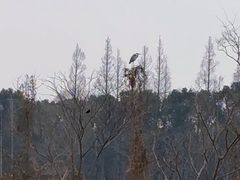 -嘉北郊野公园