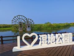 -宁波杭州湾国家湿地公园