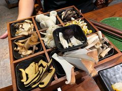 -花菇朵·云山雀 ll 野生菌锅·野果酸汤·精品滇菜(万柳店)